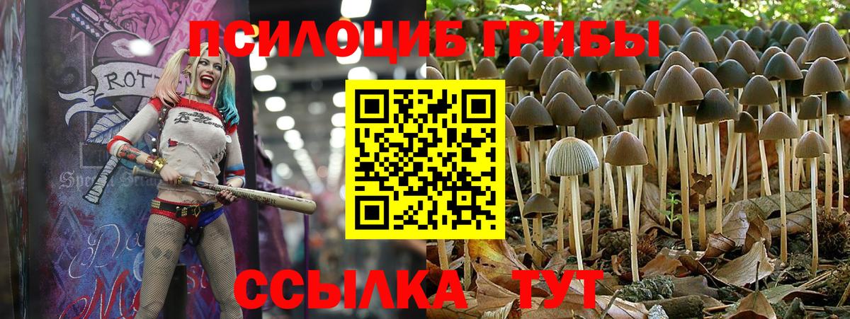 Обь  Галлюциногенные грибы мицелий  Вход с VPN 
