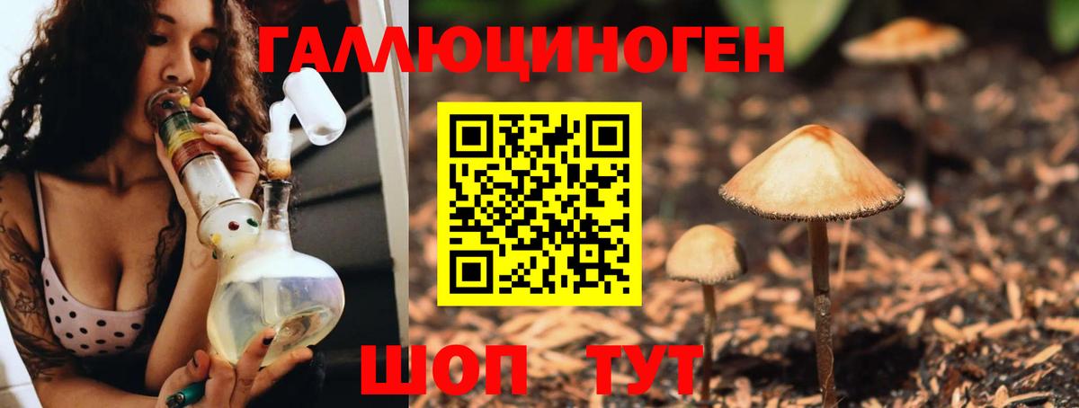 Псилоцибиновые грибы прущие грибы Обь
